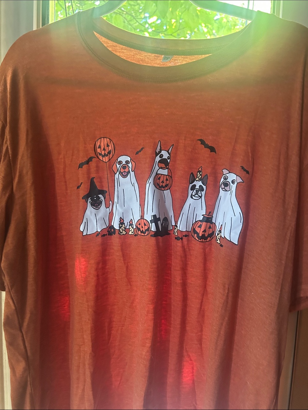 DOG, oversized ghost tee, unisex 2x, not worn / perfect for dog owners🐶🐶 FALLTEE